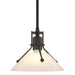 Hubbardton Forge - 184253-SKT-MULT-10-FD0673 - One Light Mini Pendant - Henry - Black