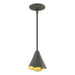 Hubbardton Forge - 184500-SKT-MULT-20 - One Light Mini Pendant - Mobius - Natural Iron