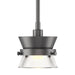 Hubbardton Forge - 187250-SKT-MULT-10-ZM0378 - One Light Mini Pendant - Apparatus - Black