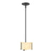 Hubbardton Forge - 188100-SKT-MULT-10-AA0156 - One Light Mini Pendant - Exos Glass - Black