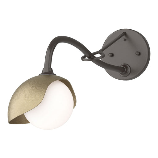 Hubbardton Forge - 201376-SKT-14-84-GG0711 - One Light Wall Sconce - Brooklyn - Oil Rubbed Bronze