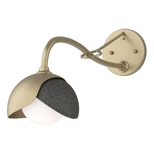 Hubbardton Forge - 201377-SKT-84-20-GG0711 - One Light Wall Sconce - Brooklyn - Soft Gold