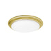 AFX Lighting - BRNF14LAJD1SB - LED Flush Mount - Baron - Satin Brass