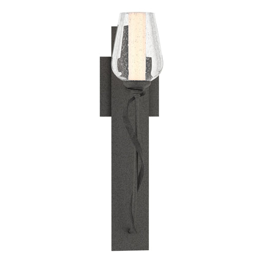 Hubbardton Forge - 203030-SKT-20-ZS0354 - One Light Wall Sconce - Flora - Natural Iron