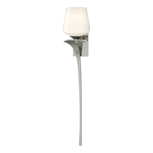 Antasia One Light Wall Sconce