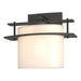Hubbardton Forge - 207521-SKT-20-GG0182 - One Light Wall Sconce - Ellipse - Natural Iron