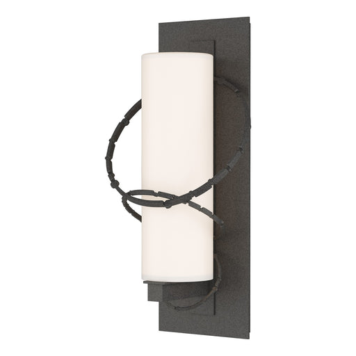 Hubbardton Forge - 302402-SKT-20-GG0034 - One Light Outdoor Wall Sconce - Olympus - Coastal Natural Iron