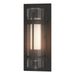 Hubbardton Forge - 305896-SKT-20-ZS0654 - One Light Outdoor Wall Sconce - Torch - Coastal Natural Iron