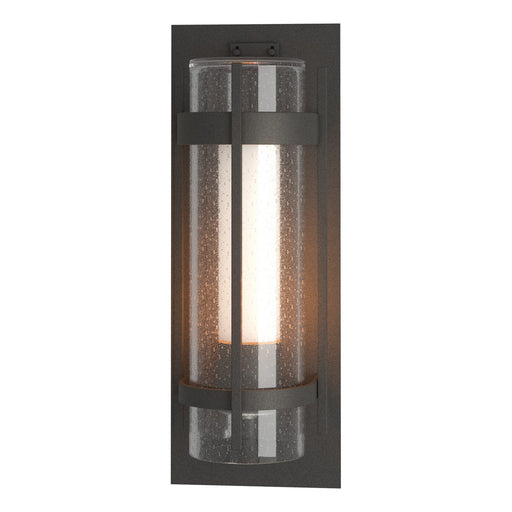 Hubbardton Forge - 305898-SKT-20-ZS0656 - One Light Outdoor Wall Sconce - Torch - Coastal Natural Iron