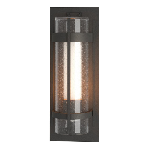 Hubbardton Forge - 305899-SKT-20-ZS0664 - One Light Outdoor Wall Sconce - Torch - Coastal Natural Iron