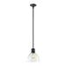 Zeev Lighting - P11708-E26-SBB-G12 - One Light Pendant - Zigrina - Satin Brushed Black