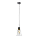 Zeev Lighting - P11708-E26-SBB-K-AGB-G16 - One Light Pendant - Zigrina - Satin Brushed Black