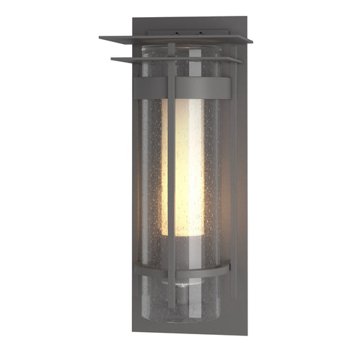 Hubbardton Forge - 305996-SKT-78-ZS0654 - One Light Outdoor Wall Sconce - Torch - Coastal Burnished Steel