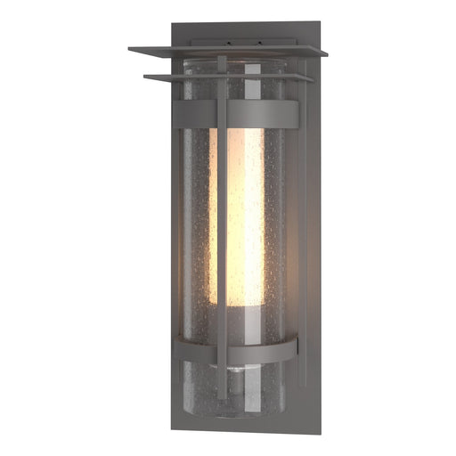 Hubbardton Forge - 305998-SKT-78-ZS0656 - One Light Outdoor Wall Sconce - Torch - Coastal Burnished Steel