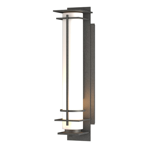 Hubbardton Forge - 307860-SKT-20-GG0187 - One Light Outdoor Wall Sconce - After Hours - Coastal Natural Iron