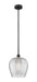 Innovations - 616-1S-BK-G462-12 - One Light Mini Pendant - Edison - Matte Black