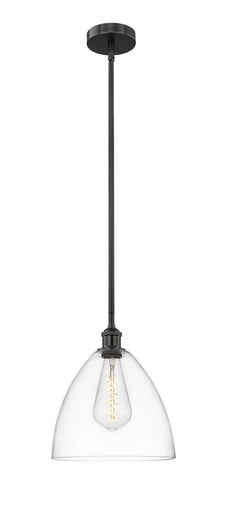 Edison One Light Mini Pendant