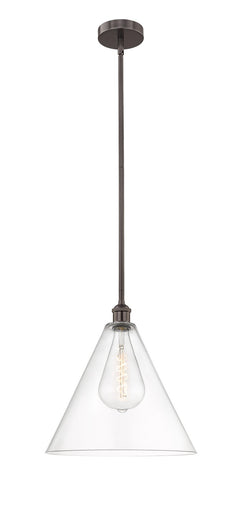 Edison One Light Pendant