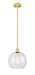 Innovations - 616-1S-SG-G124-12 - One Light Mini Pendant - Edison - Satin Gold