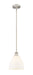 Innovations - 616-1S-SN-GBD-91 - One Light Mini Pendant - Edison - Brushed Satin Nickel