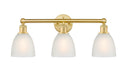 Innovations - 616-3W-SG-G381 - Three Light Bath Vanity - Edison - Satin Gold