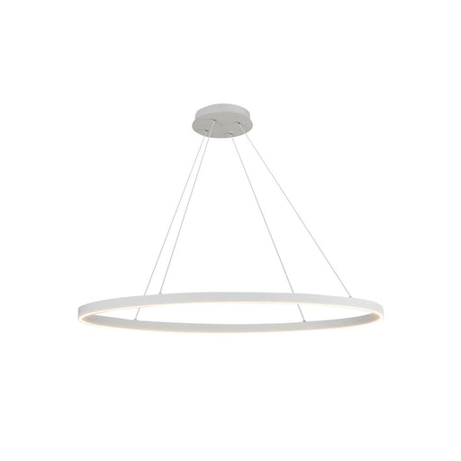 Ovale LED Linear Pendant