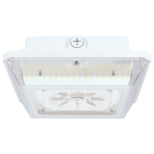 LED Wide Beam Angle Canopy White