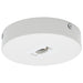 Nuvo Lighting - TP248 - Single Monopoint Adapter - White