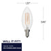 Bulbrite - 776756 - Light Bulb - Preferred - Clear