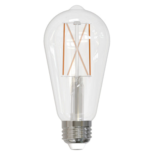 Filaments: Light Bulb