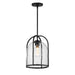 Maxim - 30194CDBK - One Light Outdoor Pendant - Foundry - Black