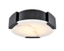 DVI Lighting - DVP42018EB-GFA - LED Flush Mount - Petra - Ebony