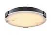 DVI Lighting - DVP42048EB-GFA - LED Flush Mount - Petra - Ebony