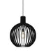 DVI Lighting - DVP42621BK-BW - One Light Pendant - Nahanni Park - Black With Black Wood Shade