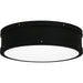 Quoizel - QF5224MBK - LED Flush Mount - Quoizel Fixture - Matte Black