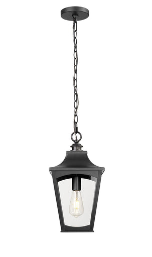Curry One Light Outdoor Hanging Lantern