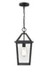 Millennium - 91401-TBK - One Light Outdoor Hanging Lantern - Eston - Textured Black