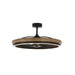 Maxim - 63002DWBK - LED Fandelight - Teton - Driftwood / Black