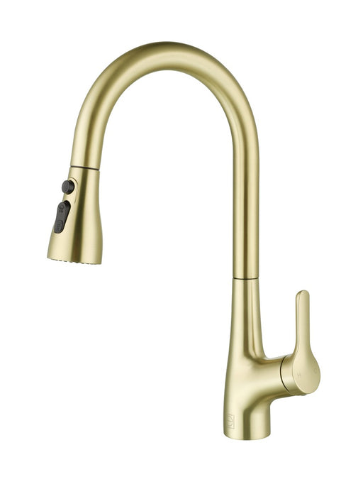 Elegant Lighting - FAK-305BGD - Kitchen Faucet - Andrea - Brushed Gold