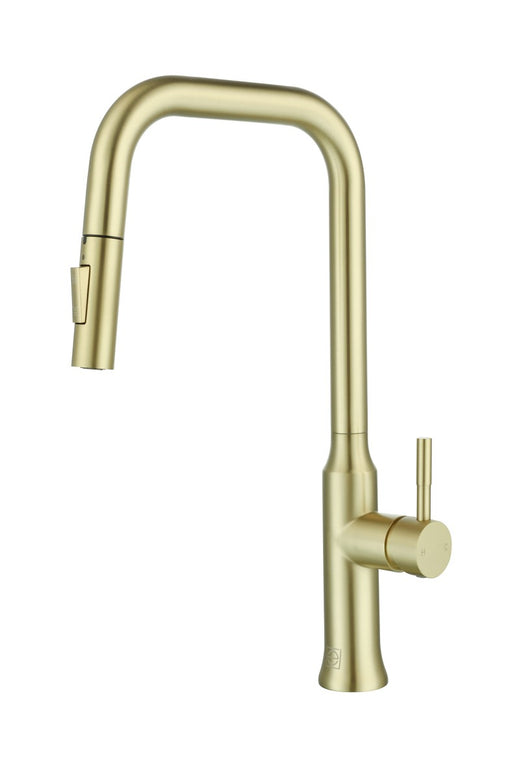 Elegant Lighting - FAK-311BGD - Kitchen Faucet - Noor - Brushed Gold