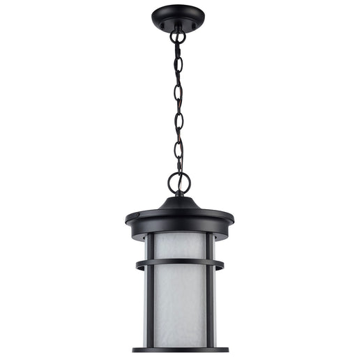 One Light Outdoor Hanging Lantern