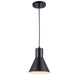 Trans Globe Imports - PND-2202 BK - One Light Pendant - Black