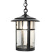 Meyda Tiffany - 271410 - One Light Pendant - Fulton - Craftsman Brown