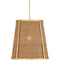 Currey and Company - 9000-1121 - One Light Pendant - Deauville - Natural/Polished Brass