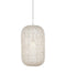 Currey and Company - 9000-1211 - One Light Pendant - Cream/Vanilla