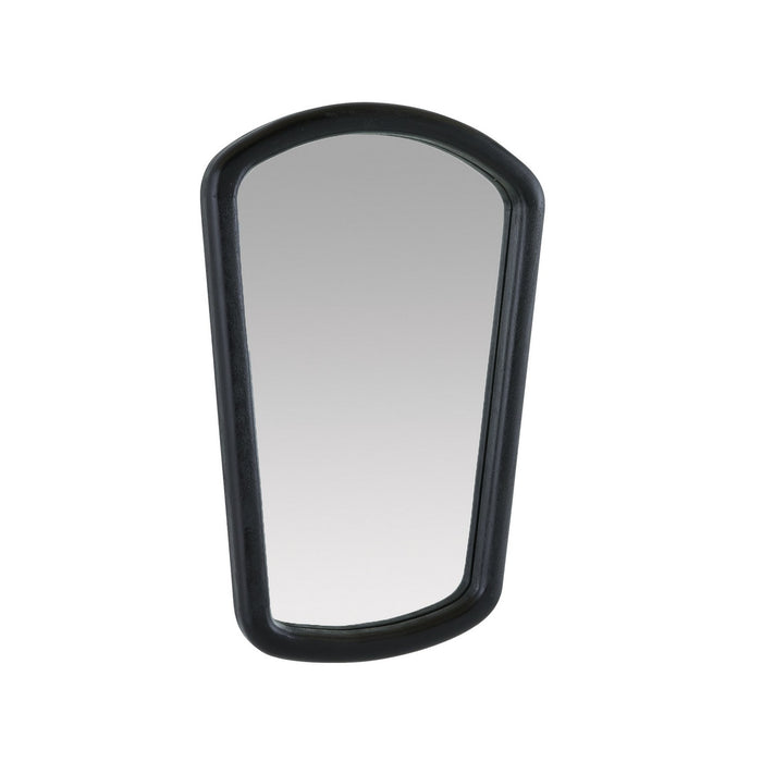 Arteriors - WMI47 - Mirror - Dyer - Ebony/Plain