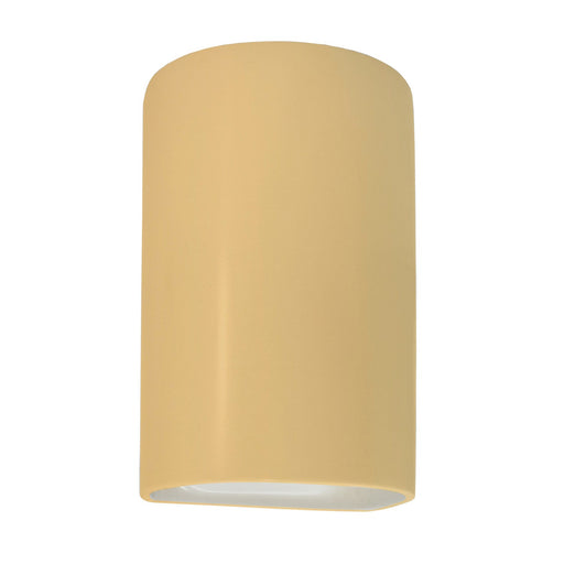 Ambiance One Light Outdoor Wall Sconce