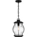 Quoizel - LHR1909EK - One Light Outdoor Wall Mount - Luther - Earth Black