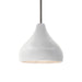 Justice Designs - CER-6560-BIS-NCKL-RIGID - One Light Pendant - Radiance - Bisque