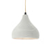 Justice Designs - CER-6560-MAT-MBLK-BEIG-TWST - One Light Pendant - Radiance - Matte White